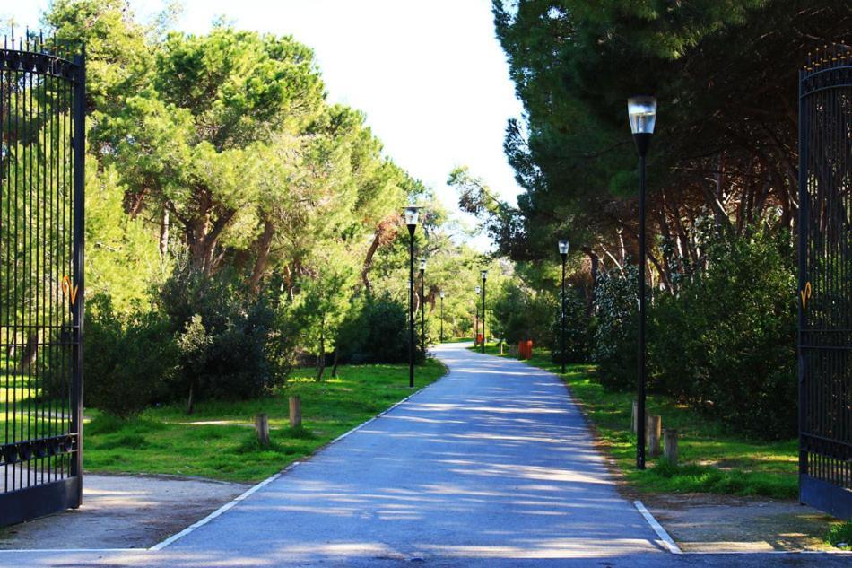 Carducci 83 Bed & Breakfast Pescara Dış mekan fotoğraf